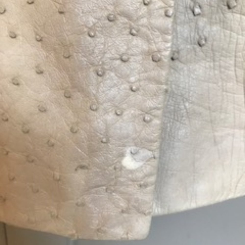 Gucci Albino Suede with Ostrich Cut Detail Coat - Picture 15 of 16